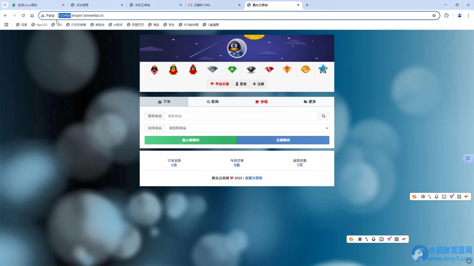 彩虹自助下单系统源码